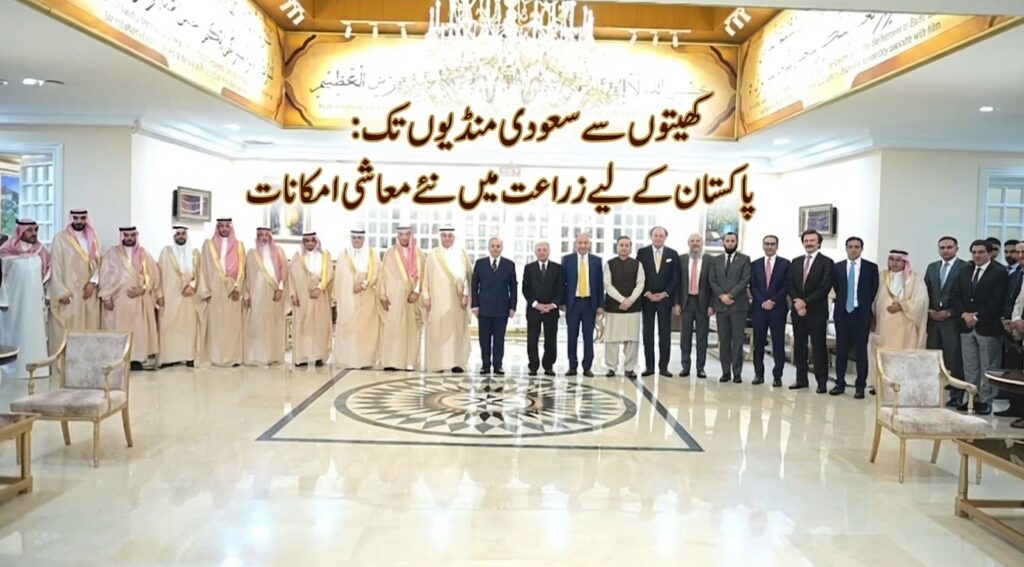 کھیتوں سے سعودی منڈیوں تک:پاکستان کے لیے زراعت میں نئے معاشی امکانات