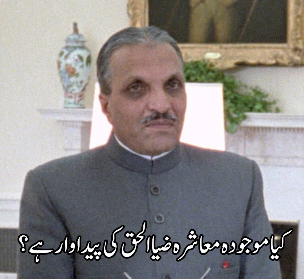 کیا موجودہ معاشرہ ضیاالحق کی پیداوار ہے؟