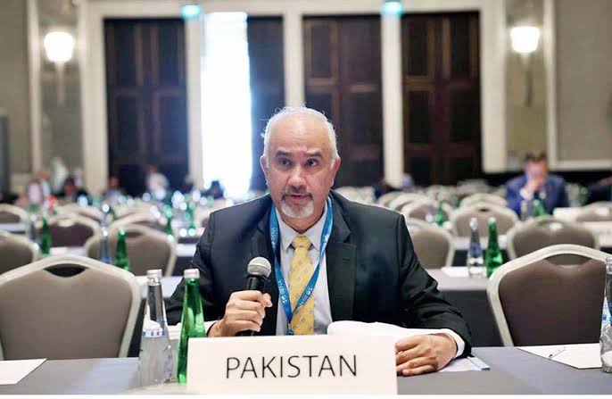 پاکستان امریکہ اور ایران کے درمیان رابطہ کار کا کردار ادا کر رہا ہے، سفیر فیصل نیاز ترمذی